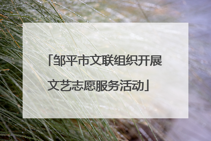 邹平市文联组织开展文艺志愿服务活动