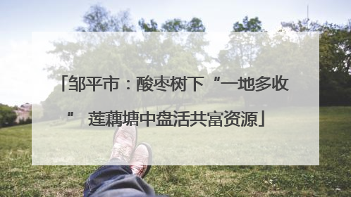 邹平市：酸枣树下“一地多收” 莲藕塘中盘活共富资源