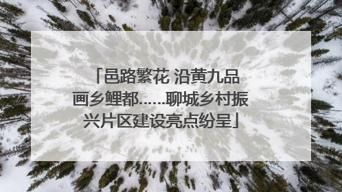 邑路繁花 沿黄九品 画乡鲤都……聊城乡村振兴片区建设亮点纷呈