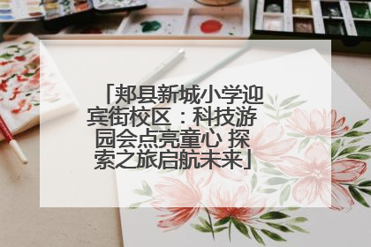 郏县新城小学迎宾街校区：科技游园会点亮童心 探索之旅启航未来