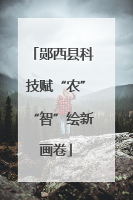 郧西县科技赋“农”“智”绘新画卷