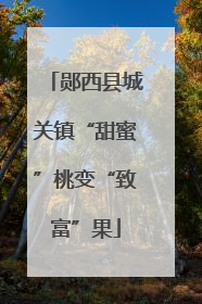 郧西县城关镇“甜蜜”桃变“致富”果