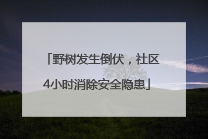 野树发生倒伏，社区4小时消除安全隐患