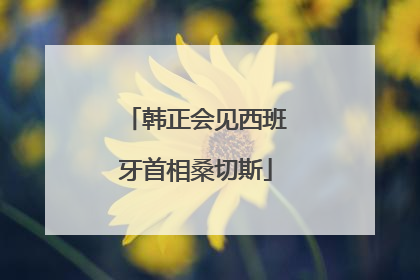 韩正会见西班牙首相桑切斯