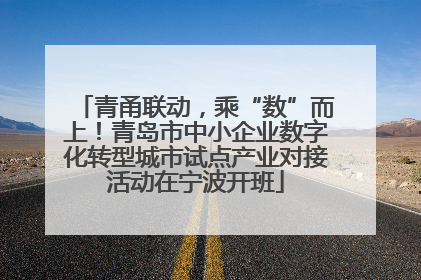 青甬联动，乘“数”而上！青岛市中小企业数字化转型城市试点产业对接活动在宁波开班
