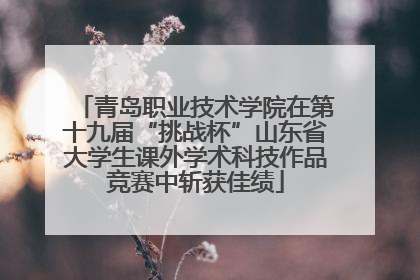 青岛职业技术学院在第十九届“挑战杯”山东省大学生课外学术科技作品竞赛中斩获佳绩