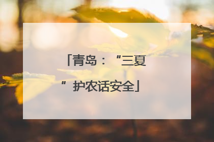 青岛：“三夏”护农话安全