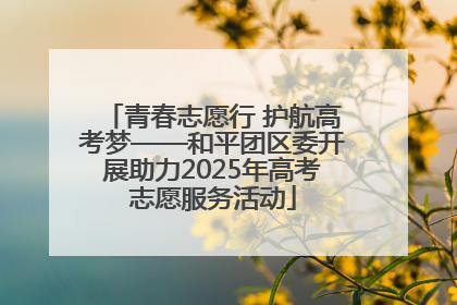 青春志愿行 护航高考梦——和平团区委开展助力2025年高考志愿服务活动