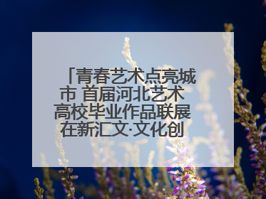 青春艺术点亮城市 首届河北艺术高校毕业作品联展在新汇文·文化创意体验中心开幕