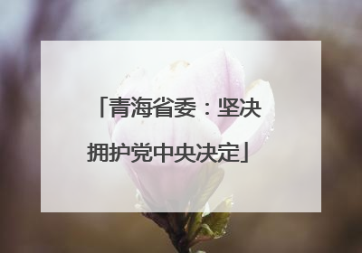 青海省委：坚决拥护党中央决定