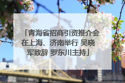 青海省招商引资推介会在上海、济南举行 吴晓军致辞 罗东川主持