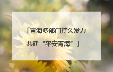 青海多部门持久发力共建“平安青海”
