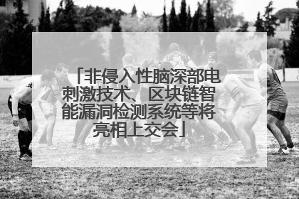 非侵入性脑深部电刺激技术、区块链智能漏洞检测系统等将亮相上交会