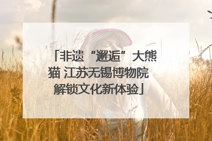 非遗“邂逅”大熊猫 江苏无锡博物院解锁文化新体验
