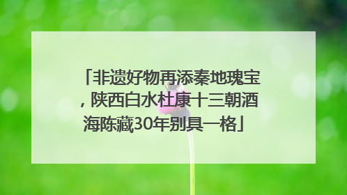 非遗好物再添秦地瑰宝，陕西白水杜康十三朝酒海陈藏30年别具一格