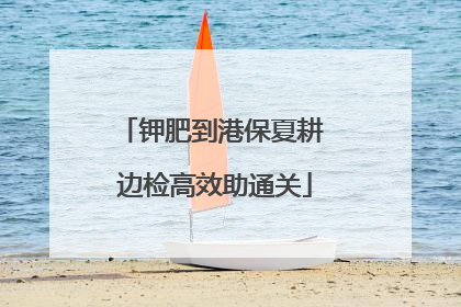 钾肥到港保夏耕 边检高效助通关
