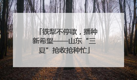 铁犁不停歇，播种新希望——山东“三夏”抢收抢种忙