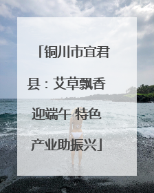 铜川市宜君县：艾草飘香迎端午 特色产业助振兴