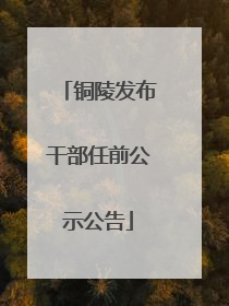 铜陵发布干部任前公示公告