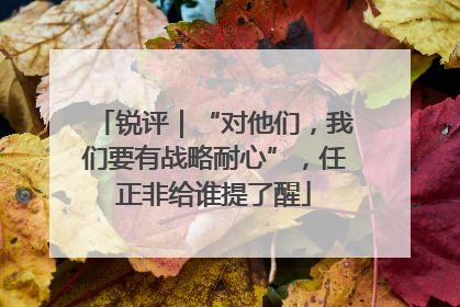锐评｜“对他们，我们要有战略耐心”，任正非给谁提了醒