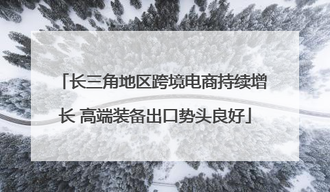 长三角地区跨境电商持续增长 高端装备出口势头良好