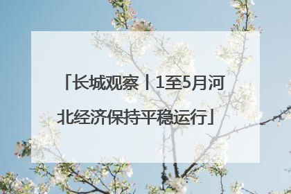 长城观察丨1至5月河北经济保持平稳运行