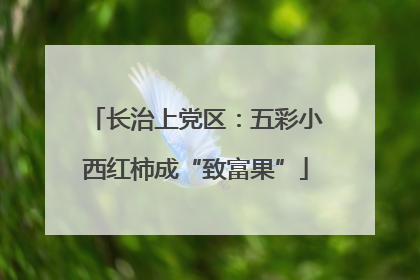 长治上党区：五彩小西红柿成“致富果”