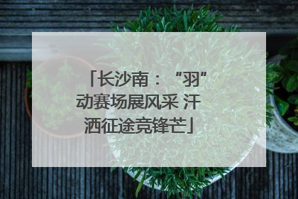 长沙南：“羽”动赛场展风采 汗洒征途竞锋芒