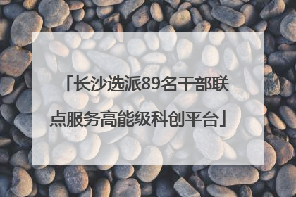 长沙选派89名干部联点服务高能级科创平台