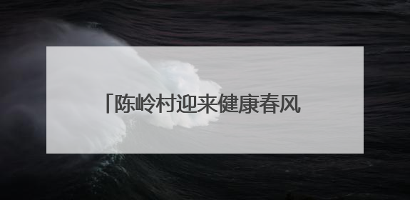 陈岭村迎来健康春风 校地携手共绘振兴图