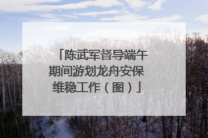 陈武军督导端午期间游划龙舟安保维稳工作（图）