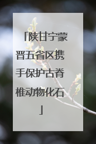陕甘宁蒙晋五省区携手保护古脊椎动物化石