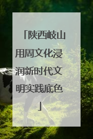 陕西岐山用周文化浸润新时代文明实践底色