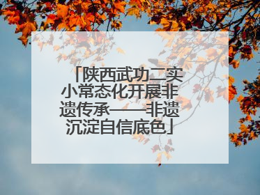 陕西武功二实小常态化开展非遗传承——非遗沉淀自信底色