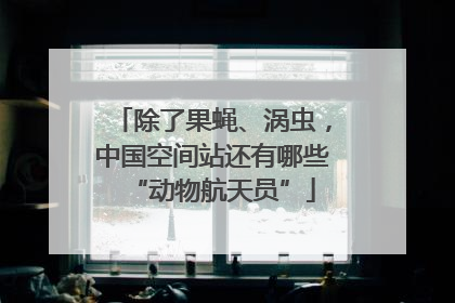 除了果蝇、涡虫，中国空间站还有哪些“动物航天员”