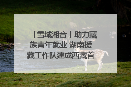 雪域湘音丨助力藏族青年就业 湖南援藏工作队建成西藏首个清洁能源装备园