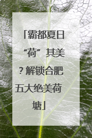 霸都夏日“荷”其美？解锁合肥五大绝美荷塘