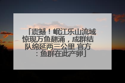 震撼！岷江乐山流域惊现万鱼翻涌，成群结队绵延两三公里 官方：鱼群在此产卵