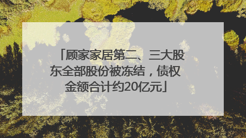 顾家家居第二、三大股东全部股份被冻结，债权金额合计约20亿元