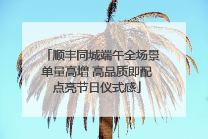 顺丰同城端午全场景单量高增 高品质即配点亮节日仪式感