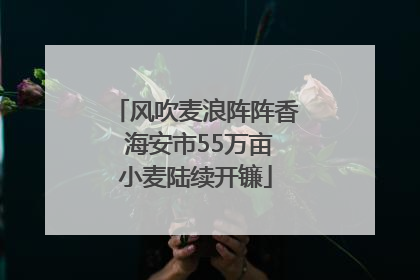 风吹麦浪阵阵香 海安市55万亩小麦陆续开镰