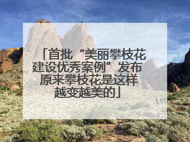 首批“美丽攀枝花建设优秀案例”发布 原来攀枝花是这样越变越美的