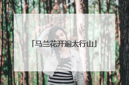 马兰花开遍太行山
