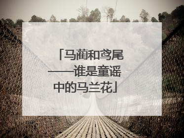 马蔺和鸢尾——谁是童谣中的马兰花