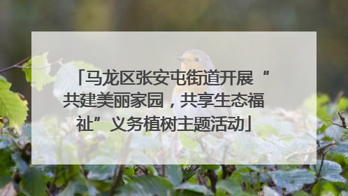 马龙区张安屯街道开展“共建美丽家园，共享生态福祉”义务植树主题活动