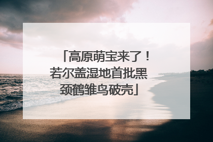 高原萌宝来了！若尔盖湿地首批黑颈鹤雏鸟破壳