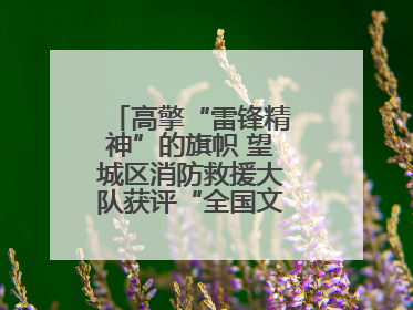 高擎“雷锋精神”的旗帜 望城区消防救援大队获评“全国文明单位”称号