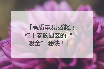 高质量发展能源行丨零碳园区的“吸金” 秘诀！