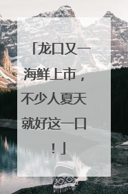 龙口又一海鲜上市，不少人夏天就好这一口！