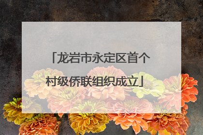 龙岩市永定区首个村级侨联组织成立